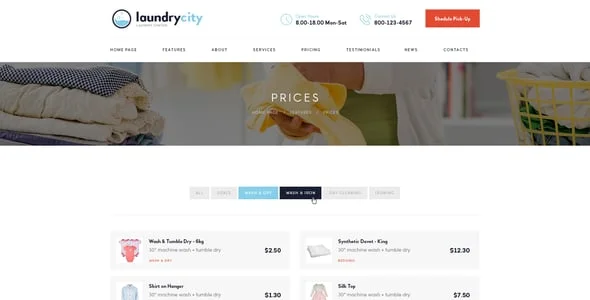 Laundry City | Dry Cleaning Services WordPress Theme — single post layout