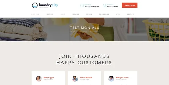 Laundry City | Dry Cleaning Services WordPress Theme — interior page design