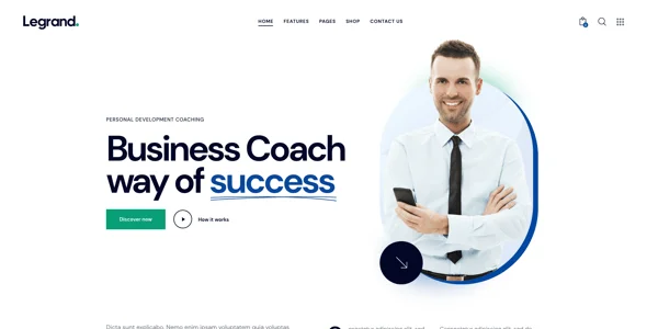LeGrand | Modern Business WordPress Theme — design detail view