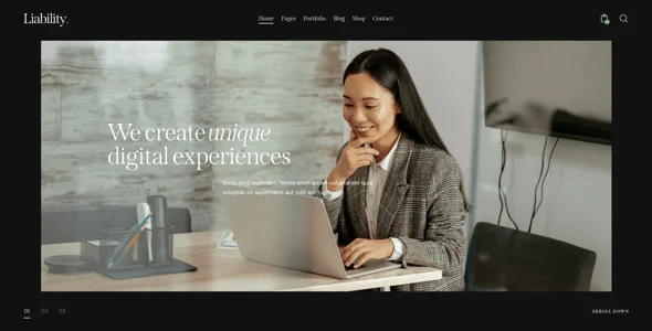 Liability | Insurance, Business & Finance WordPress Theme — single post layout