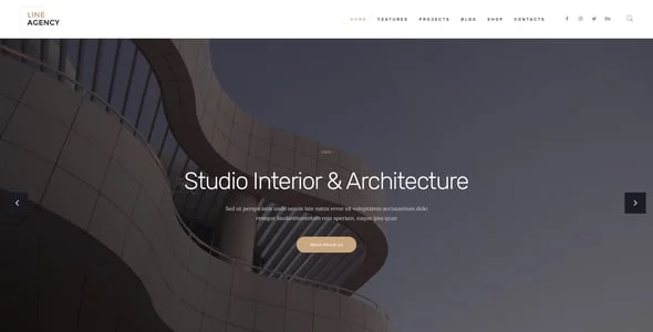 Line Agency | Interior Design & Architecture WordPress Theme — single post layout