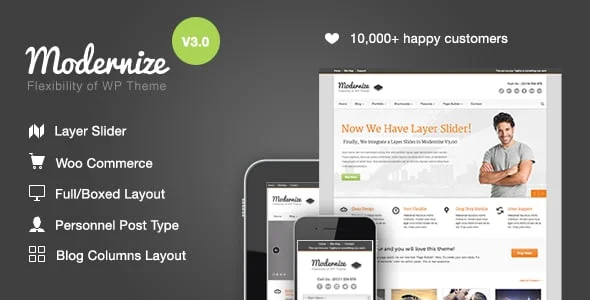 Modernize - Flexibility of WordPress — homepage layout