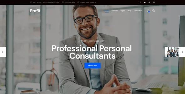 Profit - Business WordPress Theme — blog and article listing