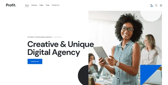 Profit - Business WordPress Theme — single post layout