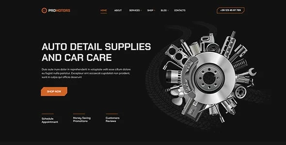 ProMotors - Car Service and Detailing WordPress Theme — single post layout