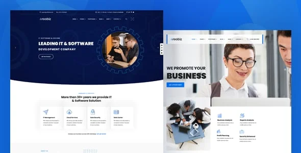 Reobiz - Consulting Business WordPress Theme — single post layout