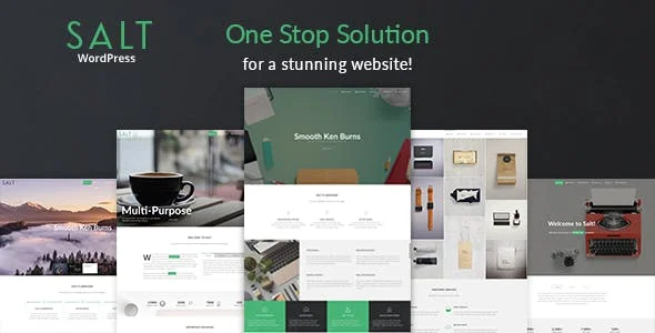 Salt | Responsive Multi-Purpose WordPress Theme — homepage layout