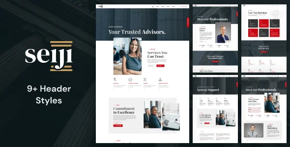 Seiji - WordPress Theme for Lawyers & Business — design detail view