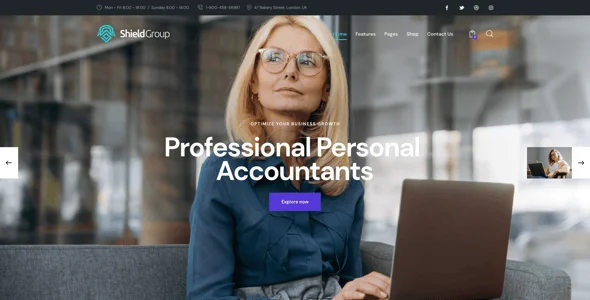 ShieldGroup | Insurance & Finance Company WordPress Theme — single post layout