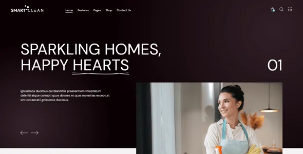 SmartClean | Housekeeping & Cleaning Company WordPress Theme — single post layout