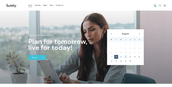 Surety - Accountanting, Bookkeeping & Finance WordPress Theme — blog and article listing