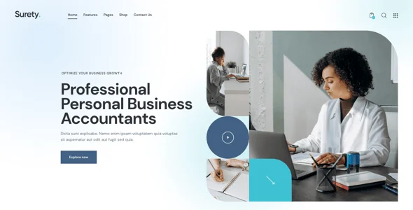 Surety - Accountanting, Bookkeeping & Finance WordPress Theme — single post layout