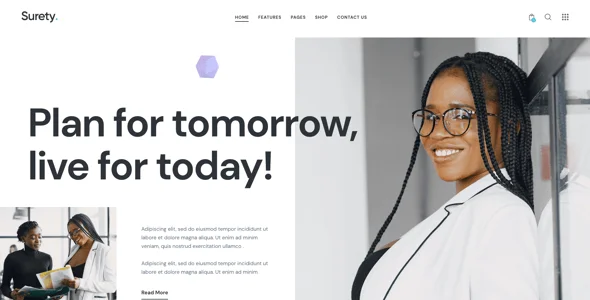 Surety - Accountanting, Bookkeeping & Finance WordPress Theme — design detail view