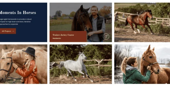 Tucker - Equestrian & Horse Riding Club WordPress Theme — interior page design