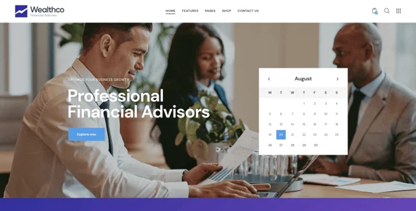 WealthCo | Business & Financial Consulting WordPress Theme — single post layout