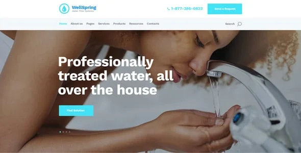 WellSpring | Aqua Filters & Drinking Water Delivery WordPress Theme — single post layout