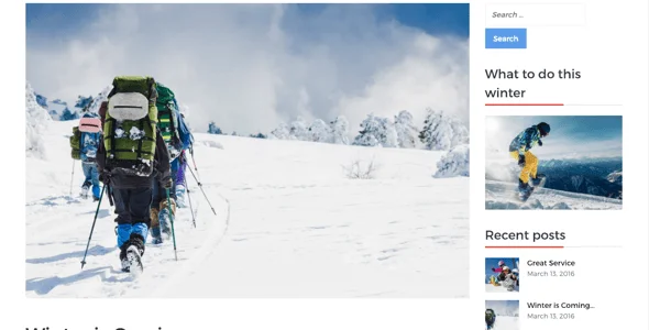 WinterZone – Ski & Winter Sports WordPress Theme — design detail view