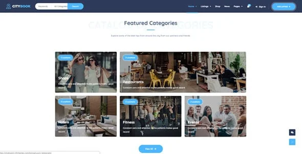 CityBook - Directory & Listing WordPress Theme — case study or portfolio page