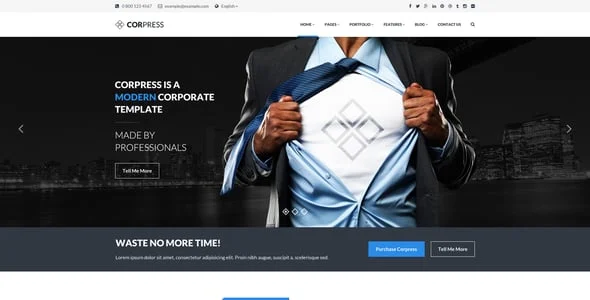 Corpress - Business and Infographics WP Theme — service and pricing page