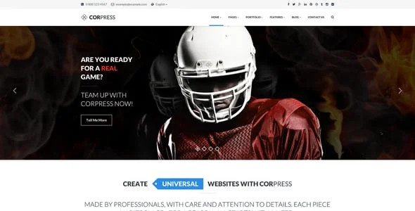 Corpress - Business and Infographics WP Theme — case study or portfolio page