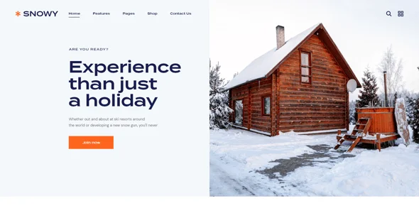 Granola - SEO & Marketing Agency WordPress Theme — service and pricing page