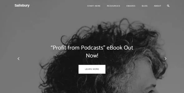 Salisbury - Content Marketing & Business WordPress Theme — service and pricing page