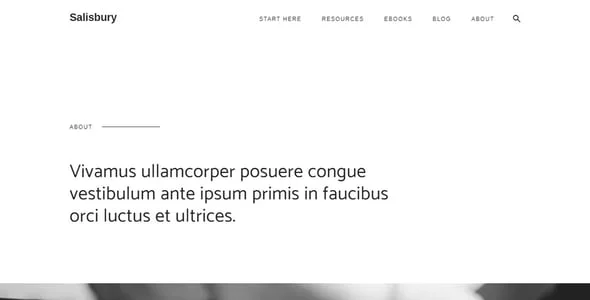 Salisbury - Content Marketing & Business WordPress Theme — interior page design