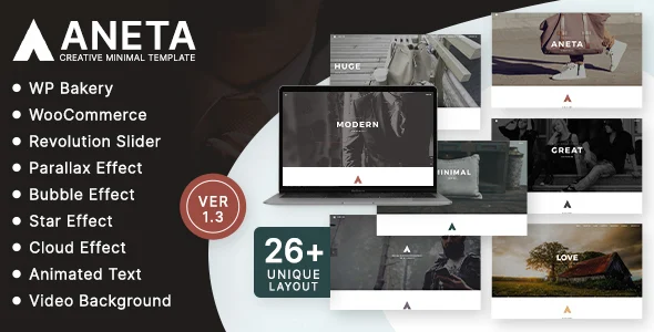 Aneta Agency Startup  Agency WordPress Theme WordPress theme homepage layout for a Agency WordPress Theme creative website