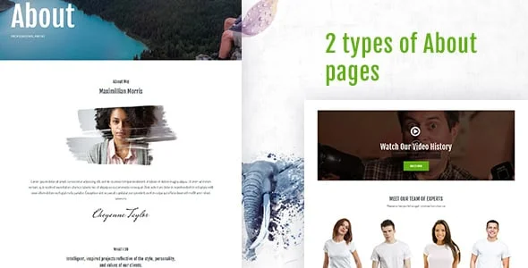 Visual Art | Gallery WordPress Theme — service and pricing page
