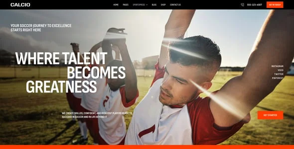 Calcio - Football & Soccer Elementor WordPress Theme — case study or portfolio page