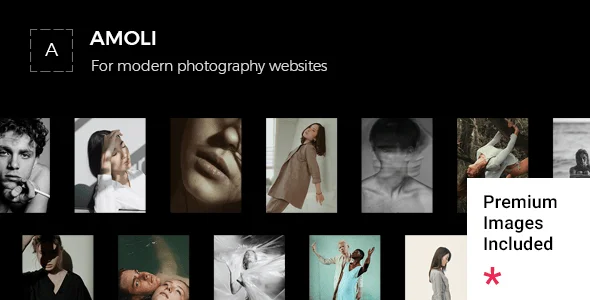 Amoli - Fashion Photography WordPress Theme — homepage layout