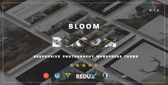 Bloom - Responsive Photography / Portfolio WordPress Theme — homepage layout