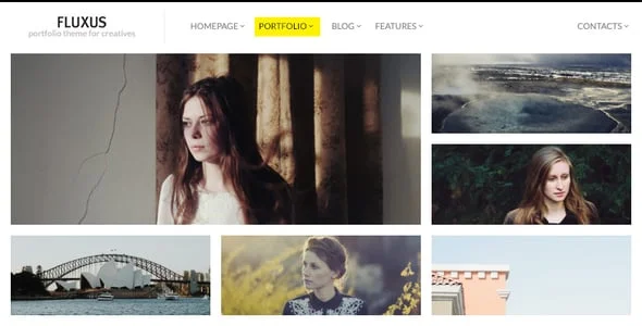 Fluxus - Horizontal Portfolio Theme — case study or portfolio page