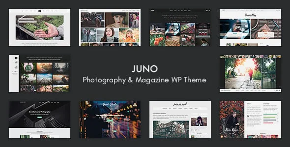 Juno – Photography & Magazine WP Theme — homepage layout