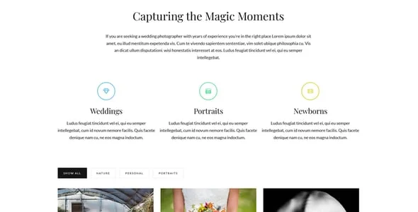 Luminis - Portfolio Photography WordPress Theme — case study or portfolio page