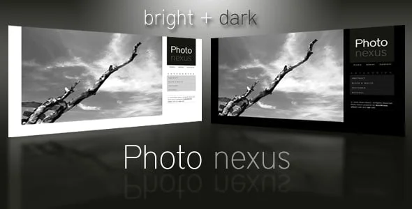 Photo Nexus | WordPress Theme — homepage layout