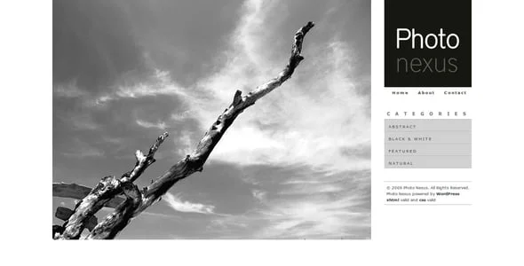 Photo Nexus | WordPress Theme — service and pricing page