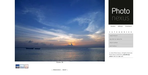 Photo Nexus | WordPress Theme — case study or portfolio page