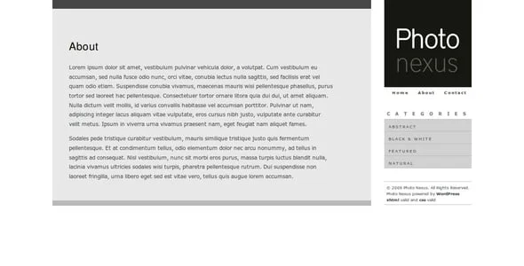 Photo Nexus | WordPress Theme — interior page design