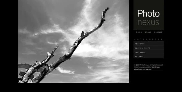 Photo Nexus | WordPress Theme — content section layout