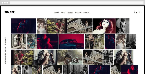 TIMBER – An Unusual Photography WordPress Theme — content section layout