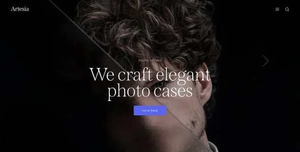 Artesia - Freelancer, Consultant & Outsource WordPress Theme — case study or portfolio page