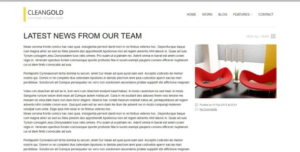 CleanGold - A Minimal Responsive WordPress Theme — interior page design