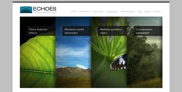 Echoes | Wordpress Theme — service and pricing page
