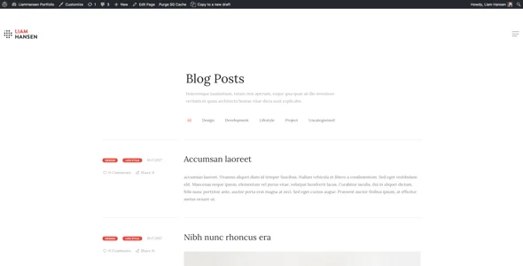 Liam Hansen - Creative Freelancers & Agency WordPress Theme — content section layout