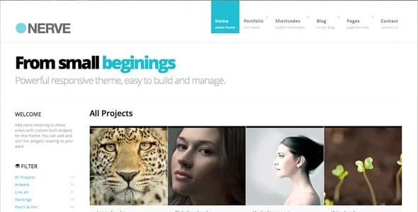 Nerve | Portfolio Theme for WordPress — service and pricing page