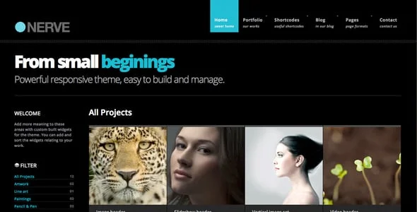 Nerve | Portfolio Theme for WordPress — case study or portfolio page