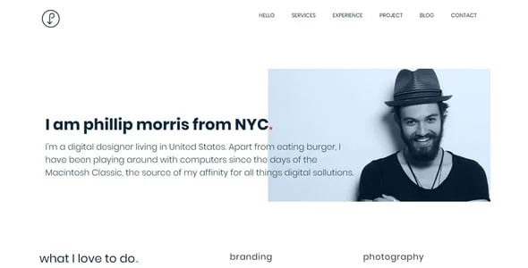Precis | CV, Personal Portfolio WordPress Theme — service and pricing page