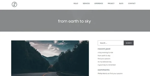 Precis | CV, Personal Portfolio WordPress Theme — case study or portfolio page