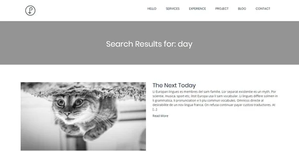 Precis | CV, Personal Portfolio WordPress Theme — interior page design